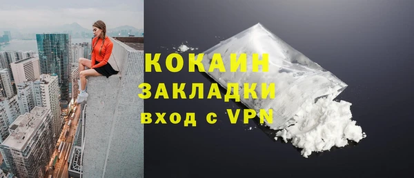 стаф Гусь-Хрустальный