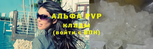 стаф Гусь-Хрустальный