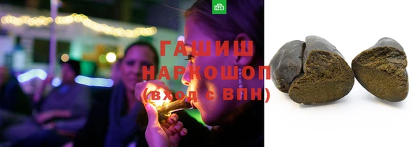 стаф Гусь-Хрустальный