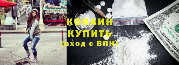 тгк Гусев