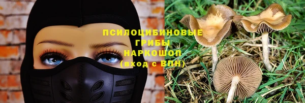 тгк Гусев