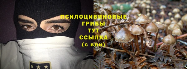 MESCALINE Гусиноозёрск