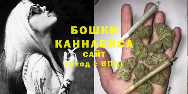 стаф Гусь-Хрустальный