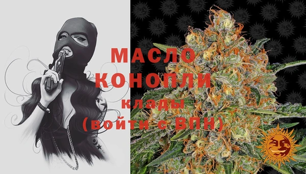 стаф Гусь-Хрустальный