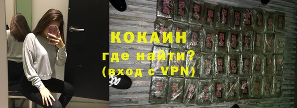 тгк Гусев