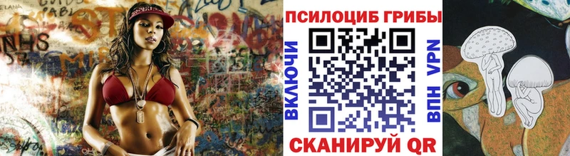 Купить  Сызрань  Псилоцибиновые грибы Magic Shrooms 